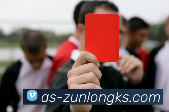 尊龙凯时官网发展历程